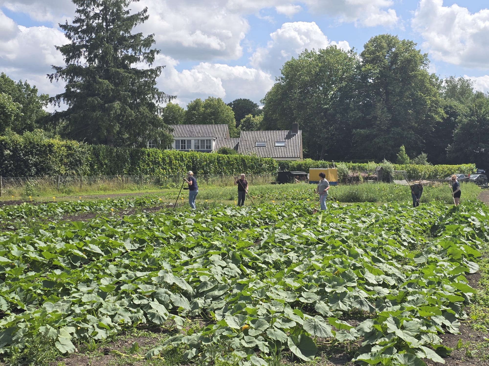 Vrijwilligerswerk Moestuin Kasteel de Haar. Onderling Verzekerd